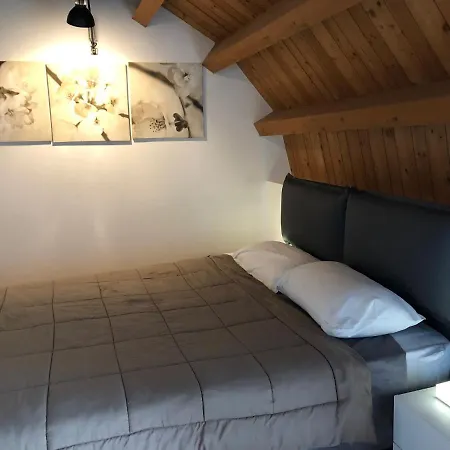 Loft Dell'oca דירה מיראנו